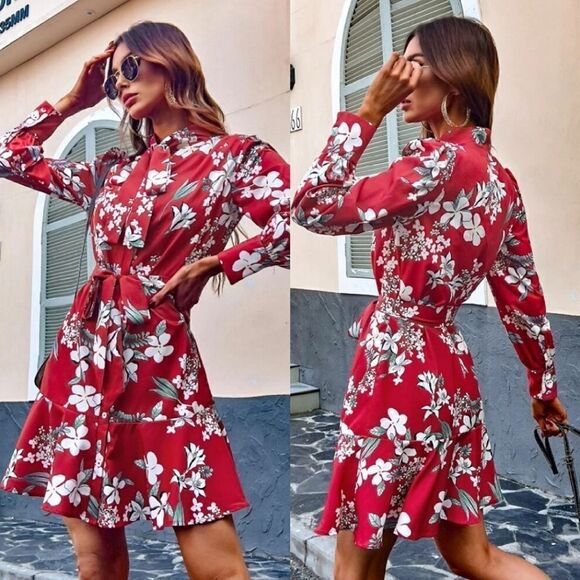 Floral Print Puff Sleeve Ruffle Hem Tie Neck Belted Dress - Picture 1 of 11